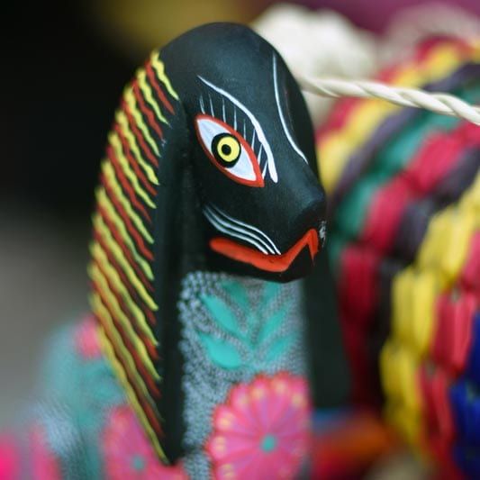 Unique Things To Do In Riviera Nayarit Mexico