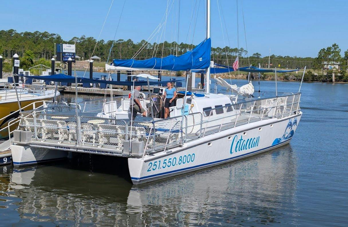 Catacean 4.jpeg