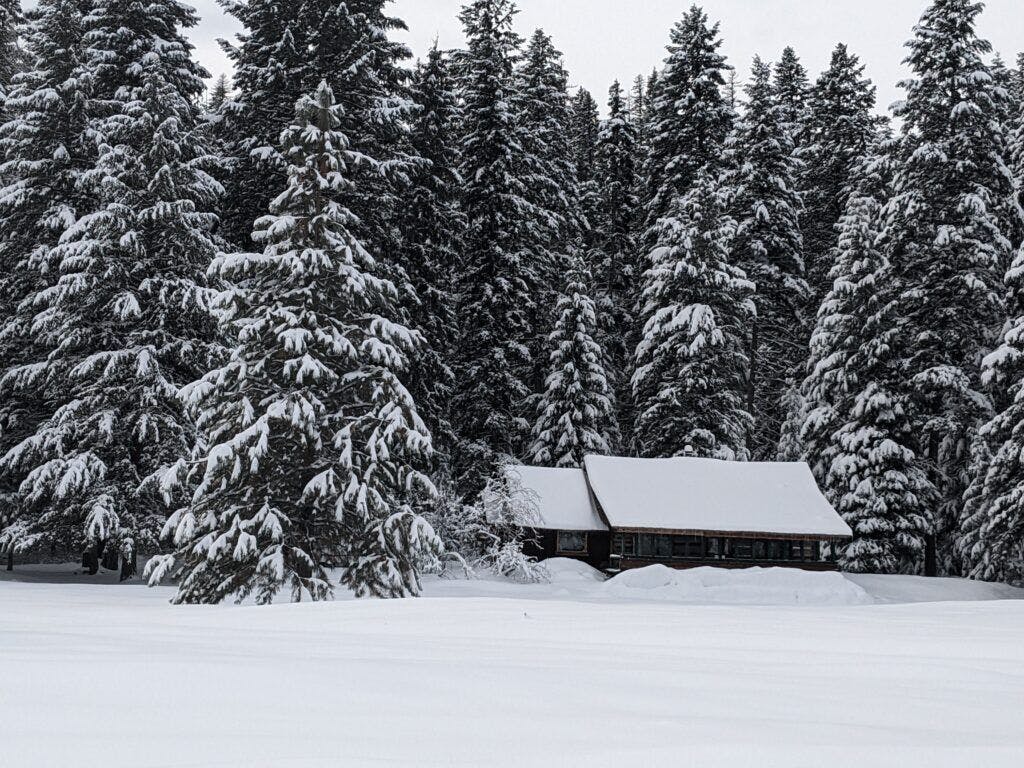 flathead-national-forest-003