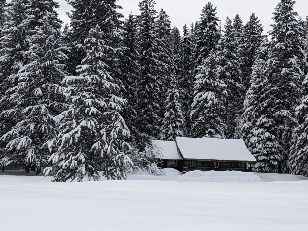 flathead-national-forest-003