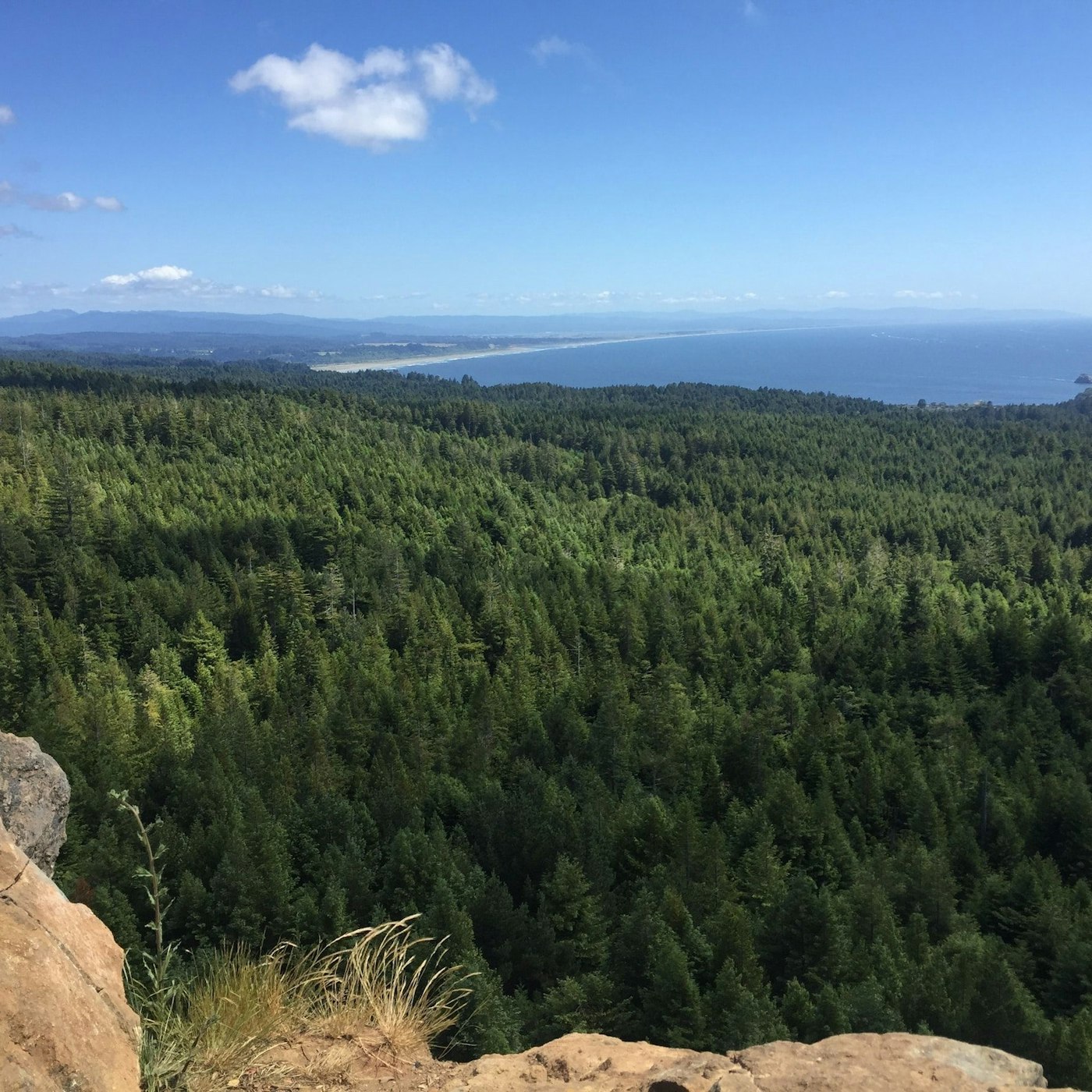 welcoming-the-redwood-coast-branch-hero