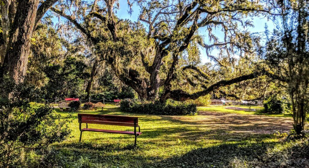 dunlawton-sugar-mill-gardens-001