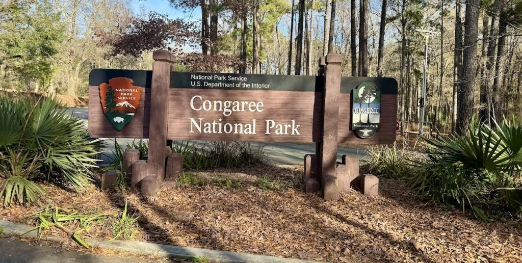 congaree-national-park-001
