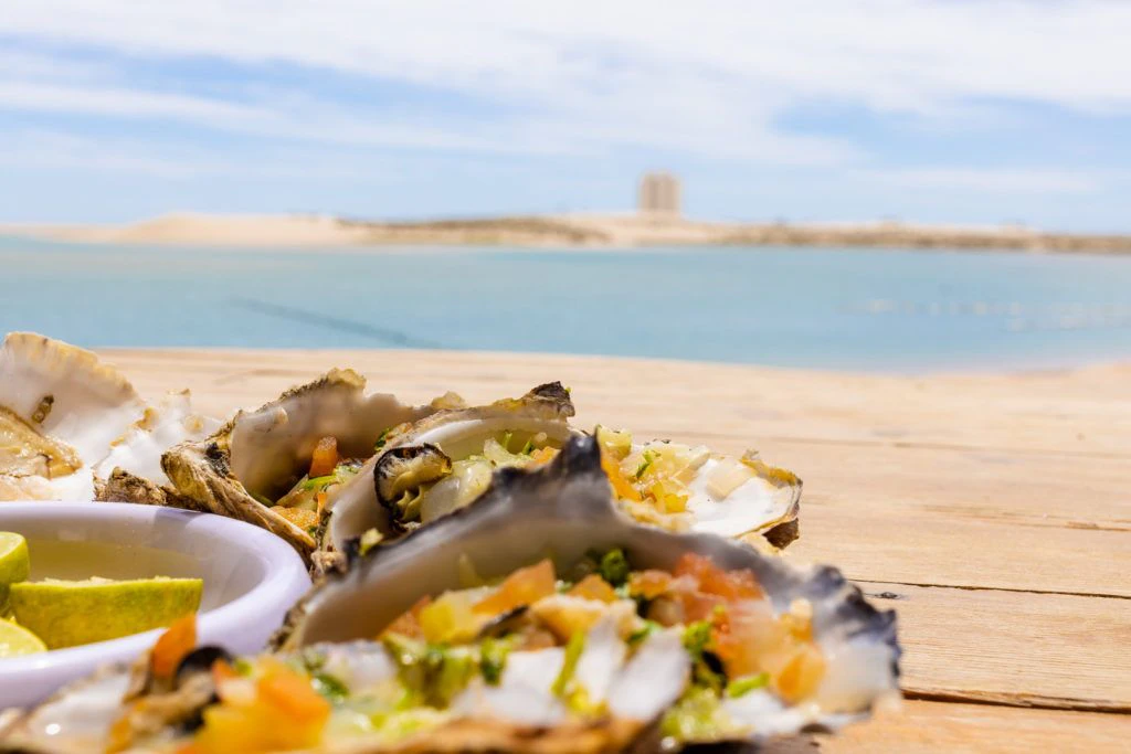 el-barco-ostionera-y-restaurante-oyster-farm-014