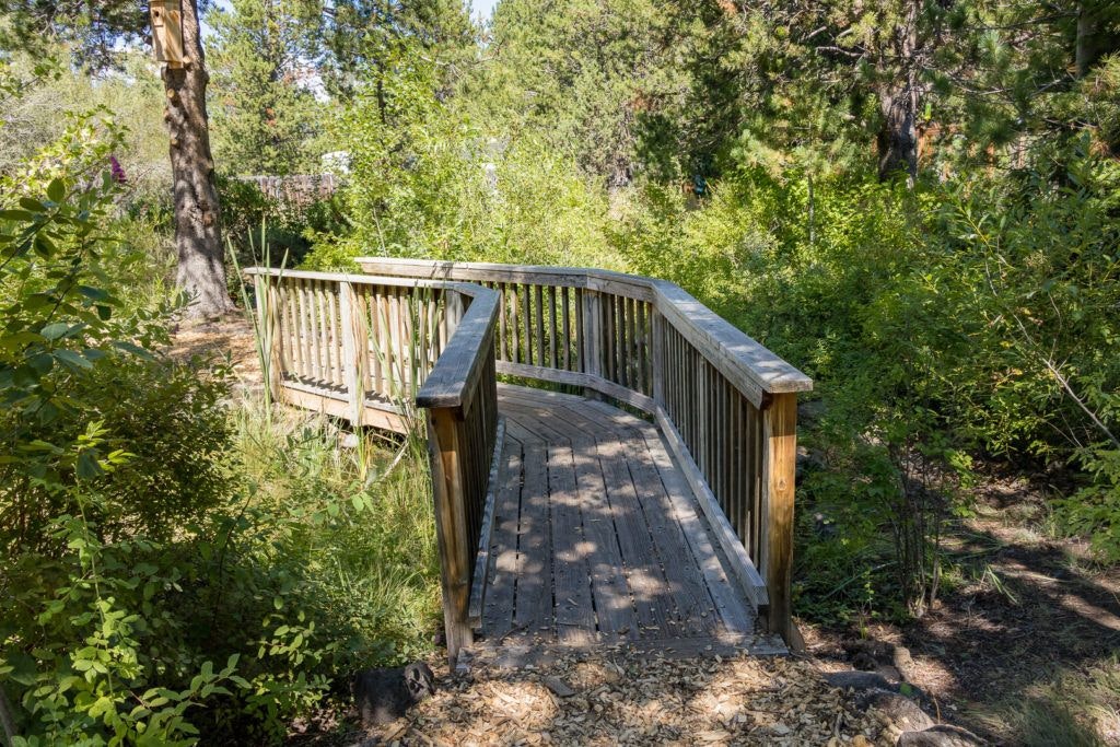 sunriver-nature-center-and-oregon-observatory-023