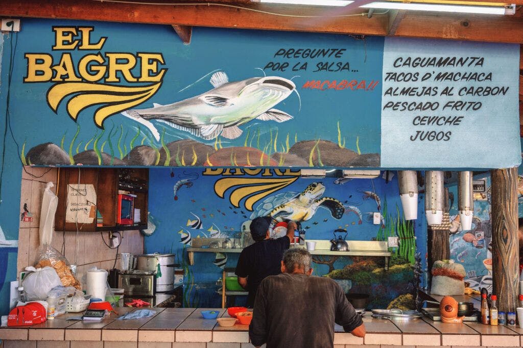 cahuamanta-el-bagre-016