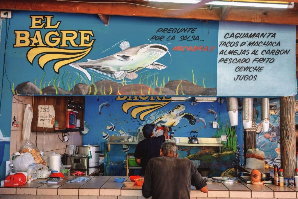 cahuamanta-el-bagre-016