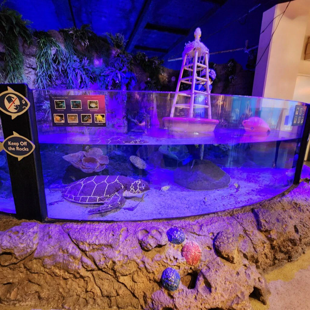 sea-life-aquarium-010