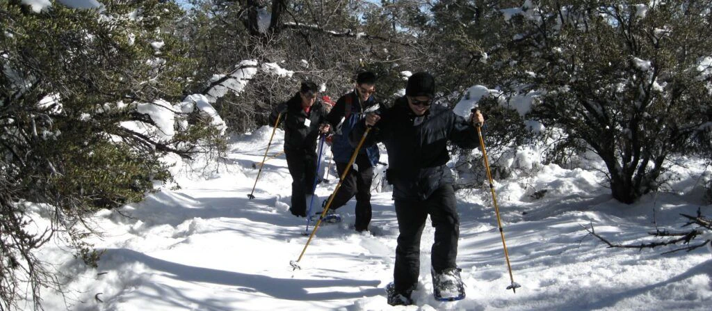 action-zipline-tours-002