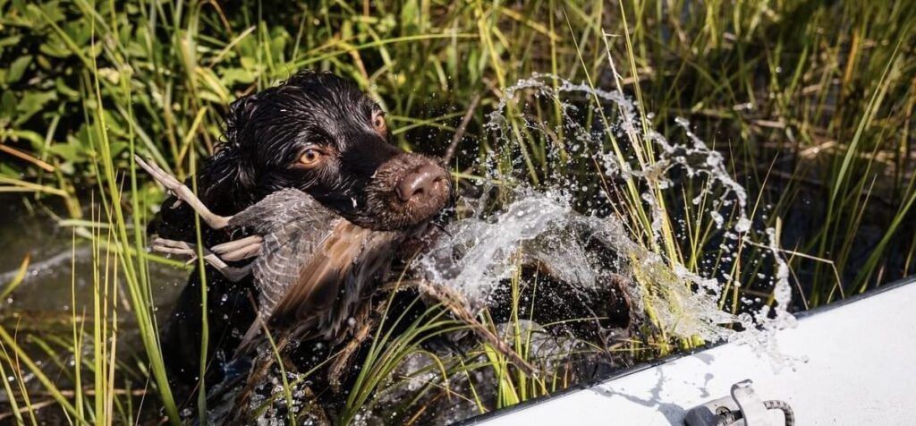 historic-coast-outfitters-002