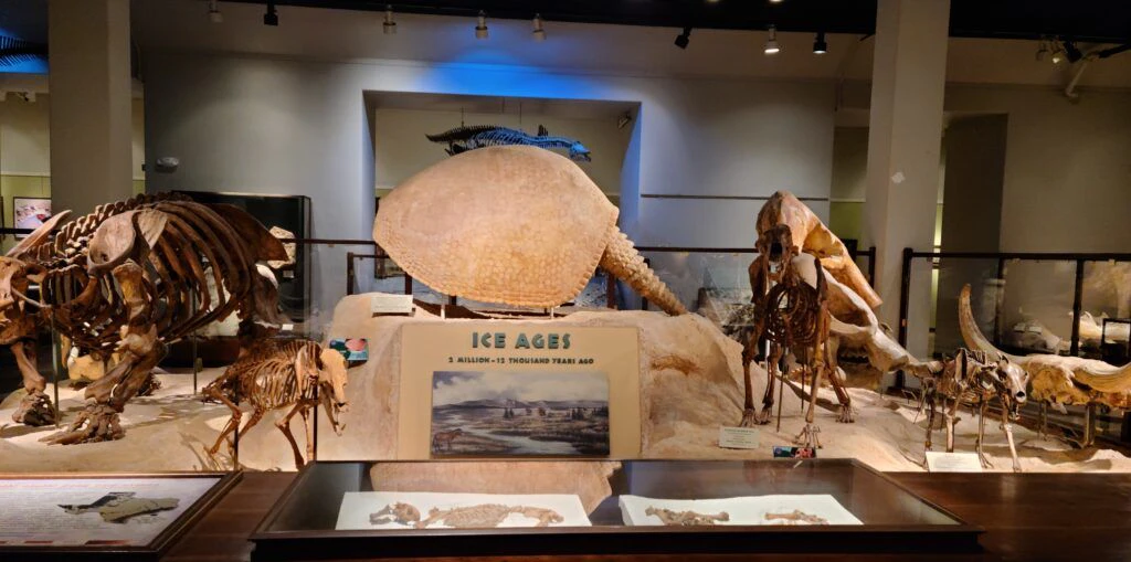 texas-science-and-natural-history-museum-004