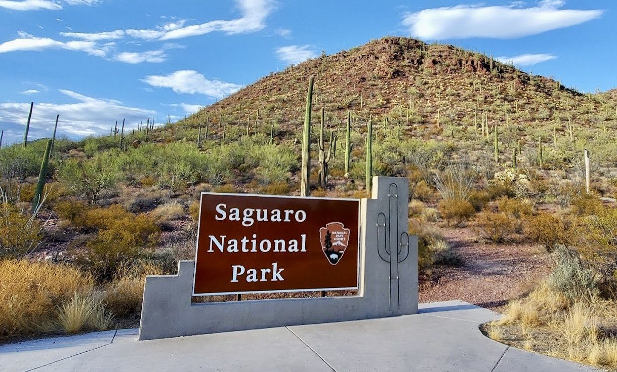 Saguaro National Park