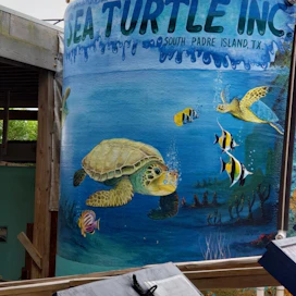 Sea Turtle, Inc.