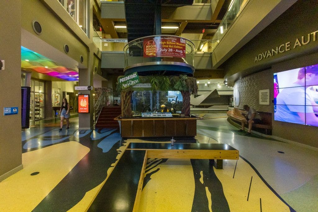 roanoke-pinball-museum-006