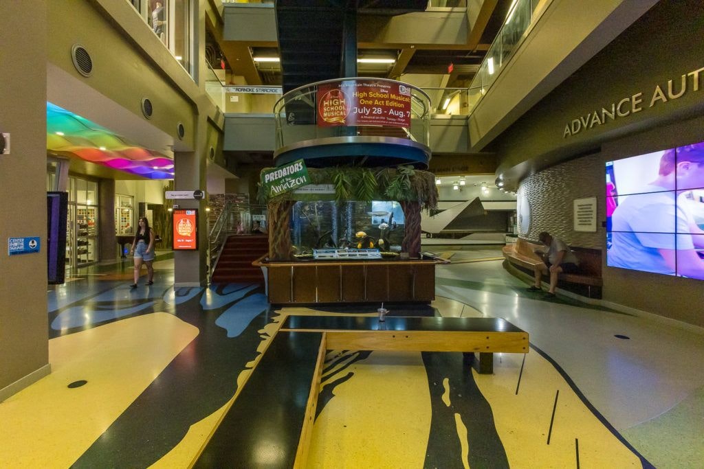 roanoke-pinball-museum-006