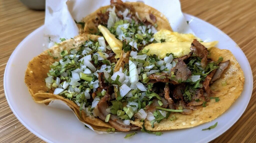 restaurante-taqueria-los-cocuyos-002