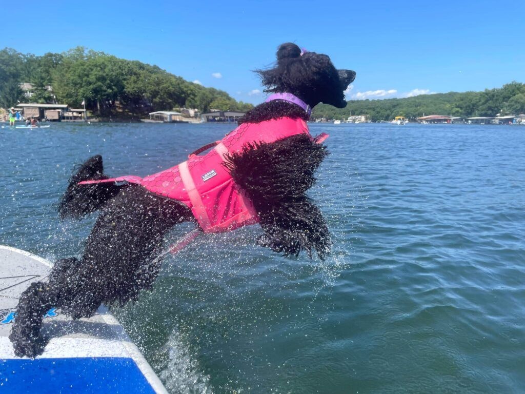 super-dave-s-paddle-craft-adventures-002