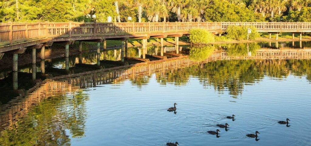 bird-island-park-003