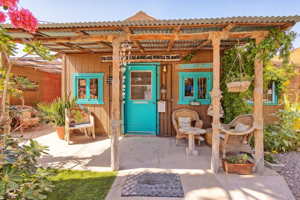 the-seashell-museum-and-sea-debris-shop-003