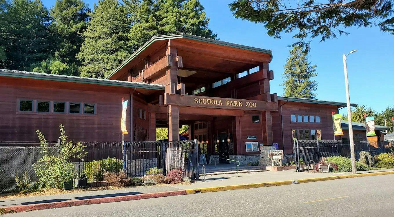 sequoia zoo 3.jpeg