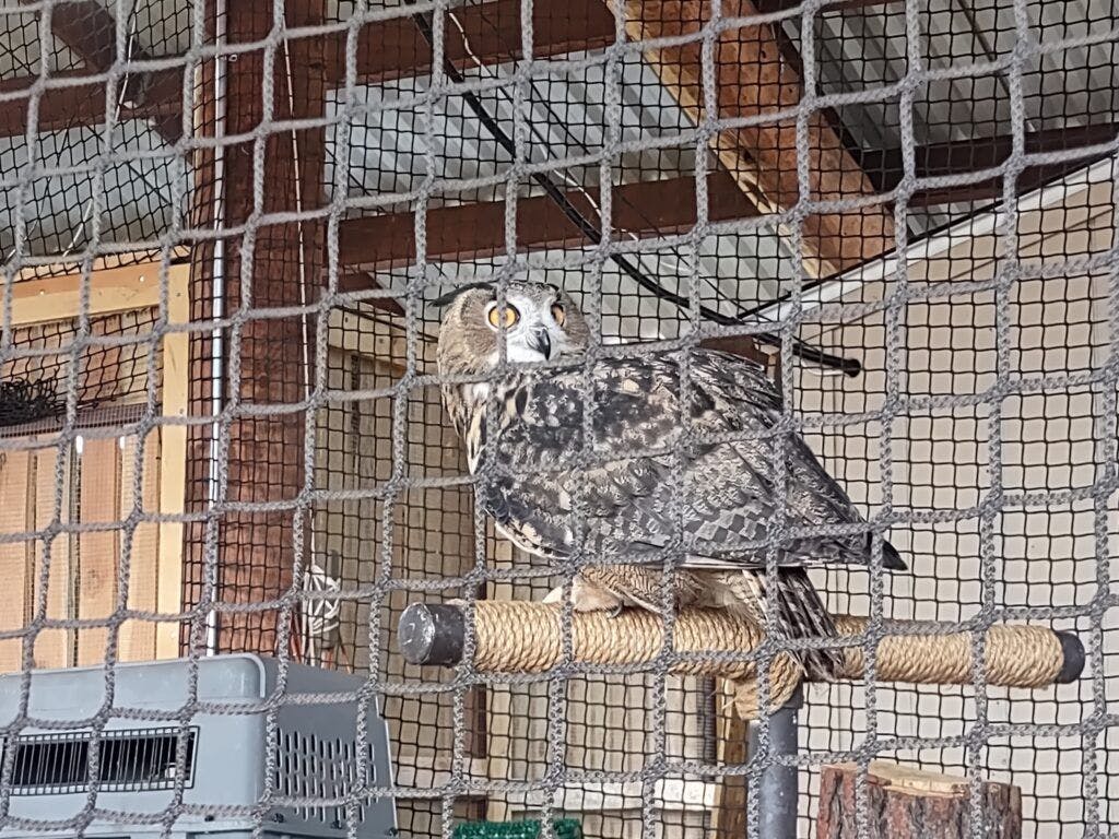 white-mountain-nature-center-003