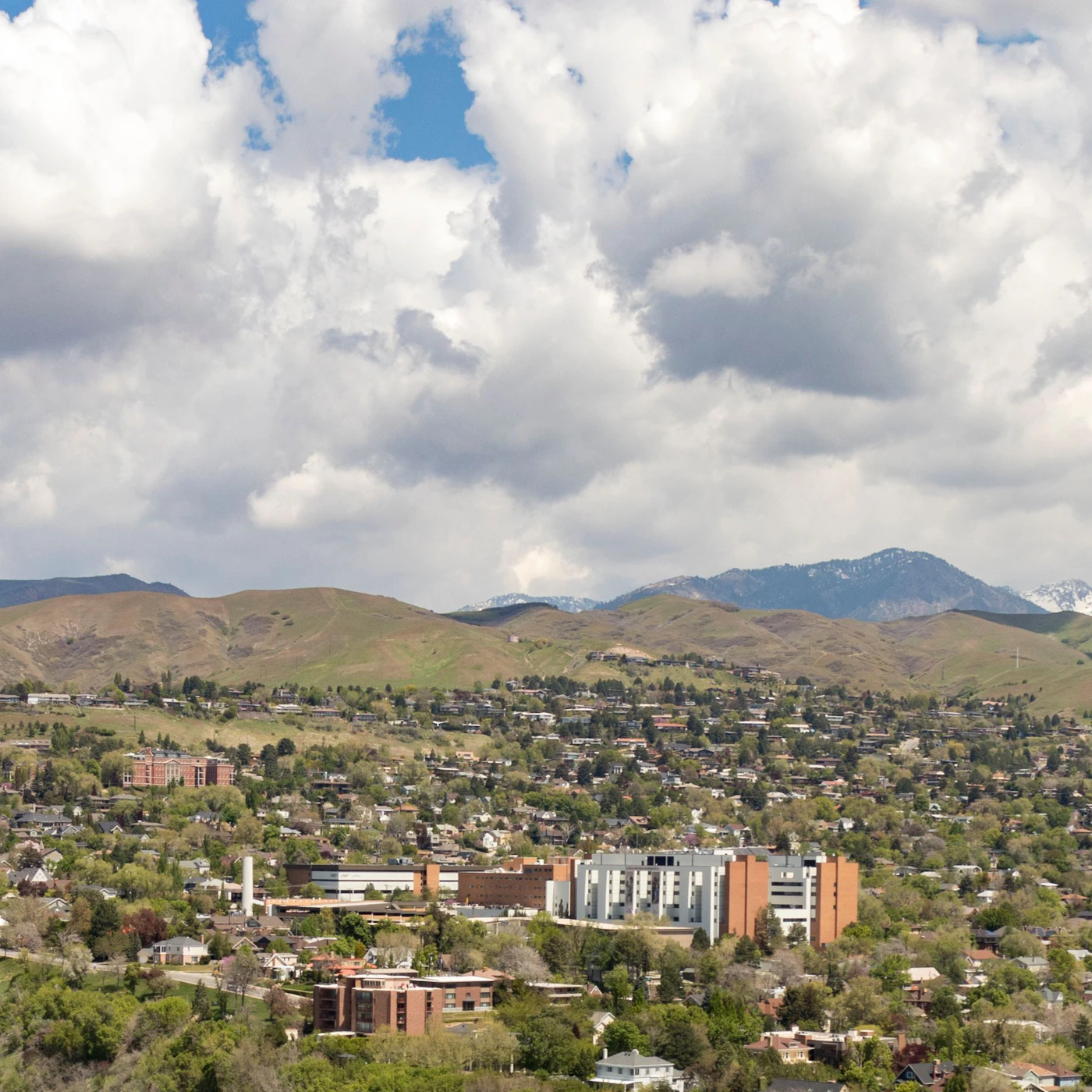 AdobeStock_205783261.jpeg