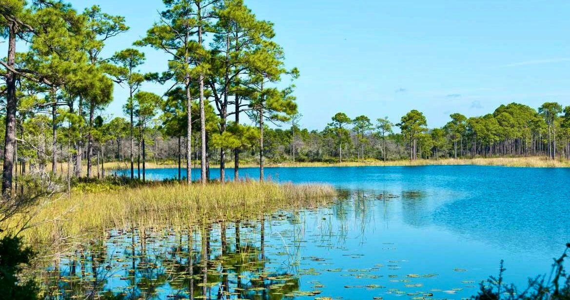 Grayton Beach State Park 02.jpeg