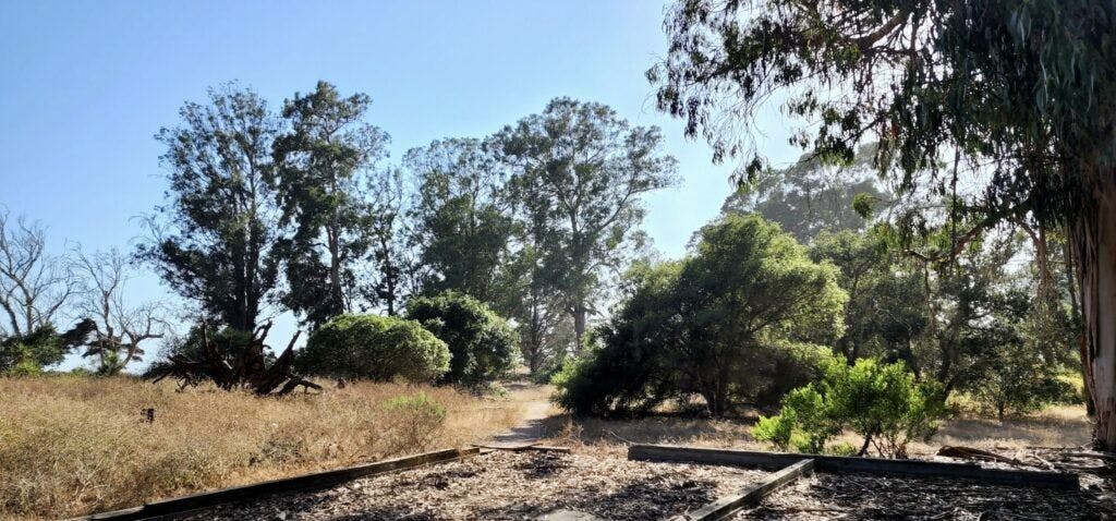 douglas-family-preserve-002