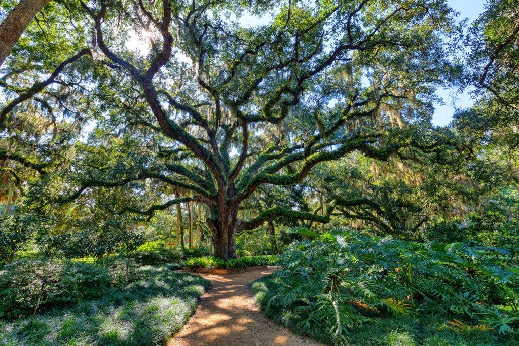 washington-oaks-gardens-state-park-003