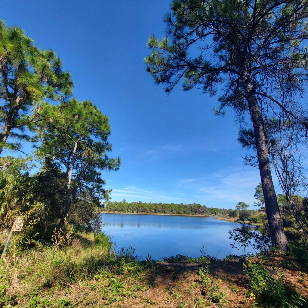 halpatiokee-regional-park-001