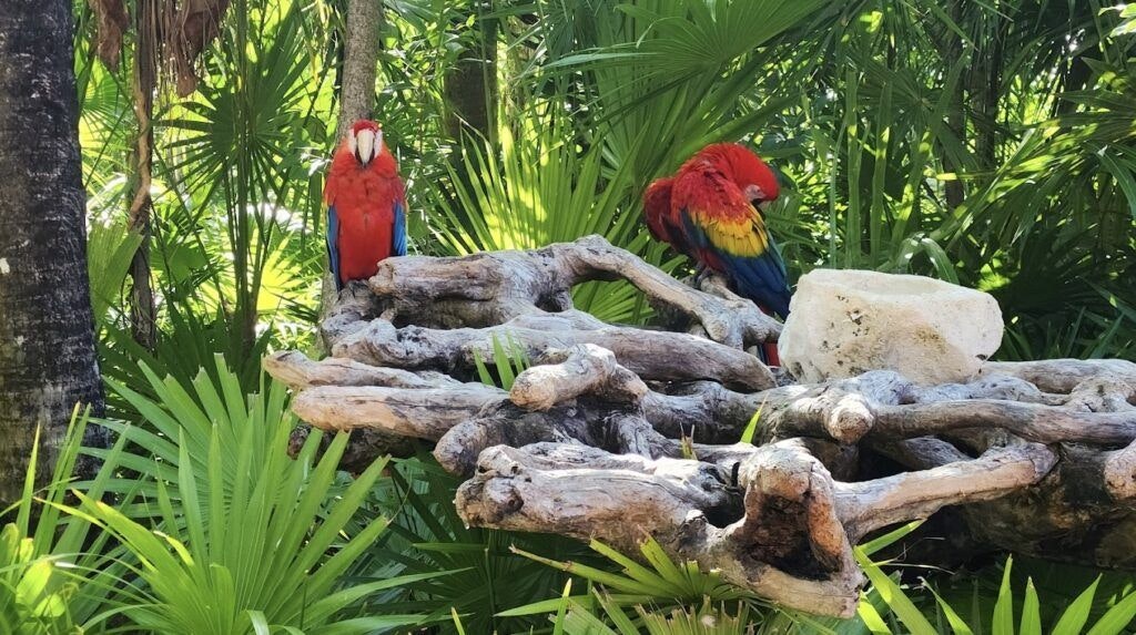 xel-ha-park-tulum-002
