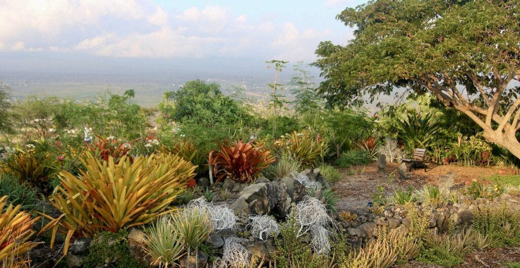 maka-eo-walking-path-004