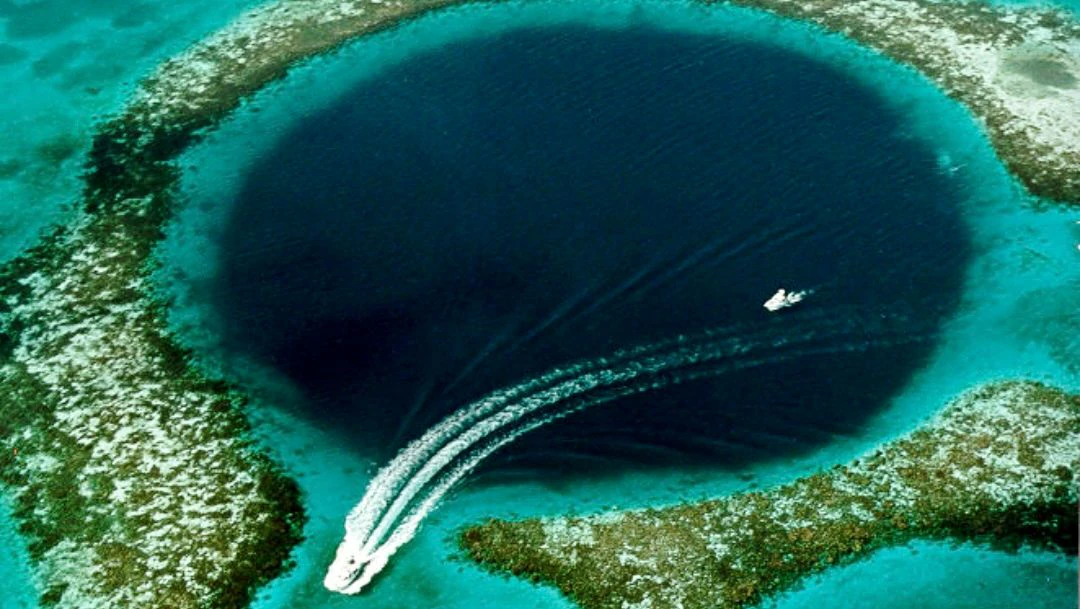Barrier Reef 4.jpeg