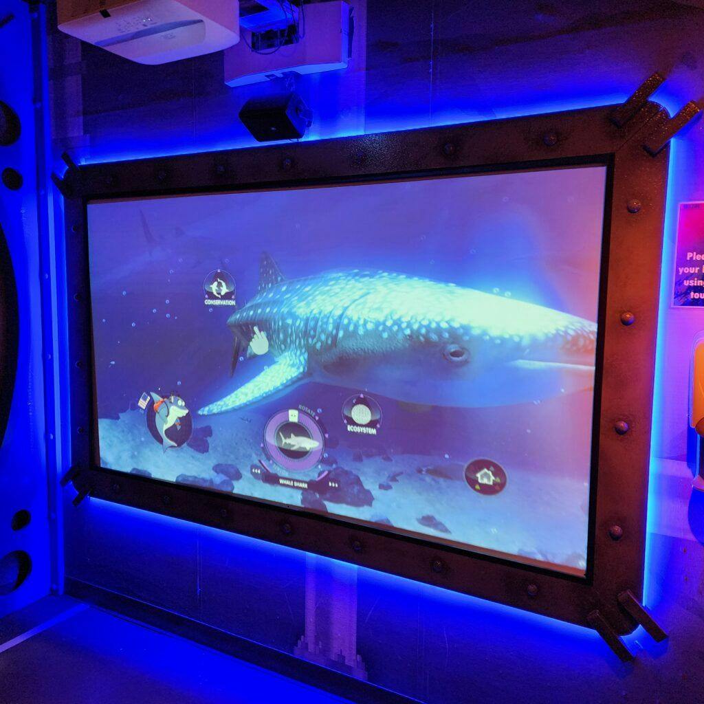 sea-life-aquarium-006