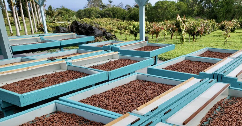 mauna-kea-cacao-001