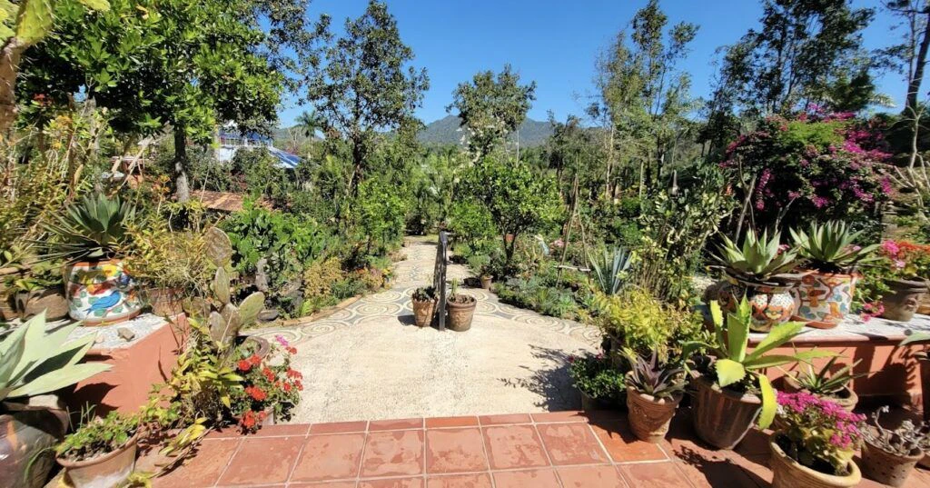 vallarta-botanical-garden-003