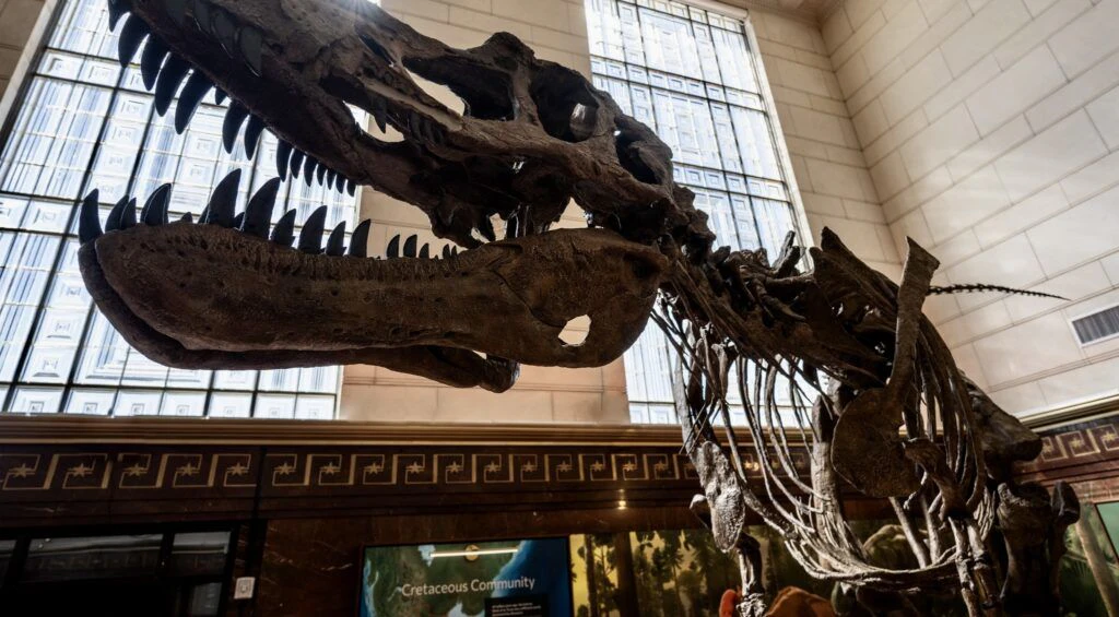 texas-science-and-natural-history-museum-003