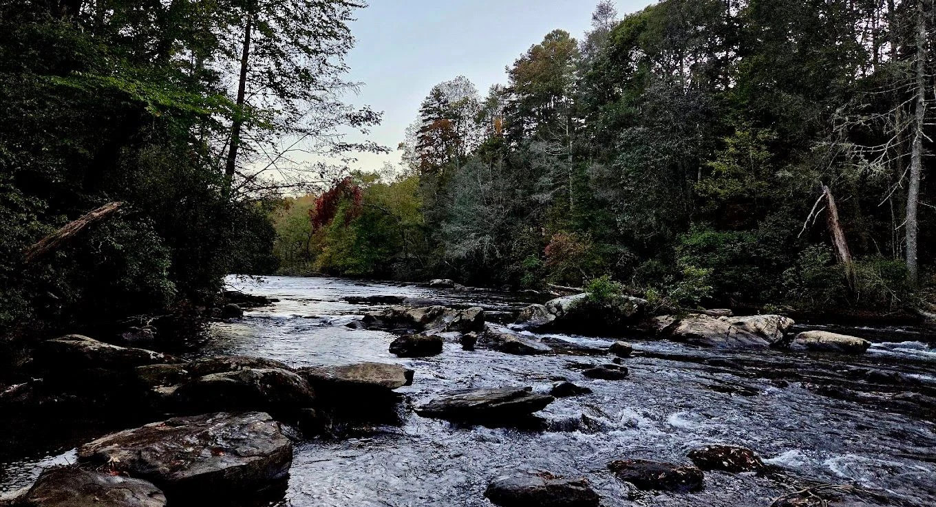 Toccoa Sandy Bottoms 2.jpeg