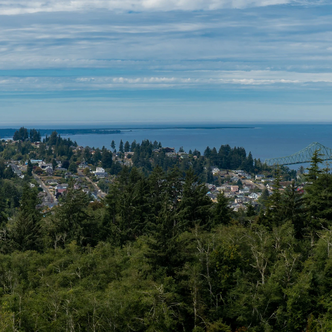 AdobeStock_481245640.jpeg