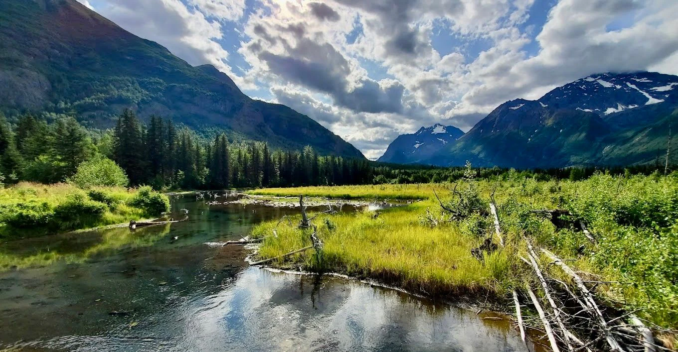Chugach SP 4.jpeg
